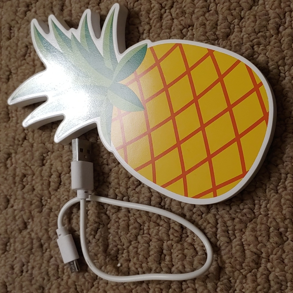 Pineapple charger